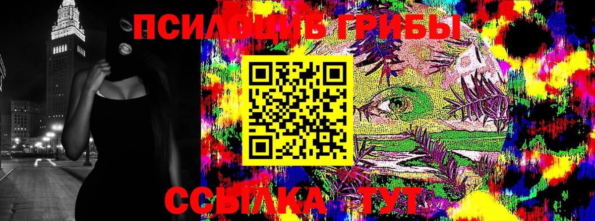 закладки  Вход с VPN  Ачинск  Галлюциногенные грибы мицелий 